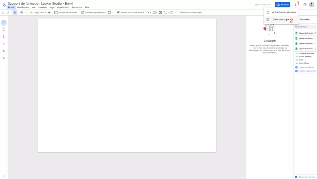 Copier un rapport
